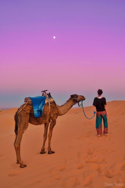 Another great travel year tracking Trimm Travels! I hope that I can inspire your travels in 2019 and beyond with highlights from my roundup review 2018! #travel #roundup #travelyear #destinations #travelinspiration #traveltips #morocco #usa #france #canada #iceland #austria