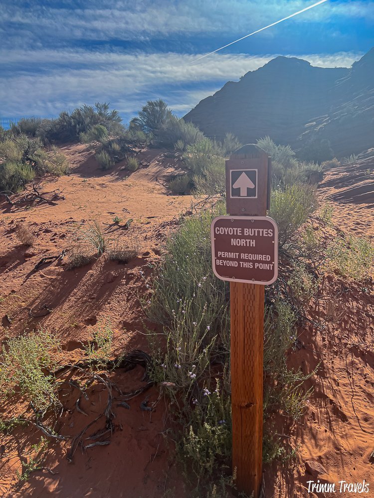 hazy shot of a sign while hiking the wave in arizona that reads "coyote buttes north, permit required beyond this point"