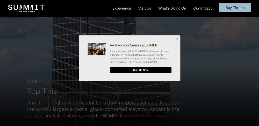 screenshot of summit one website's opt-in form