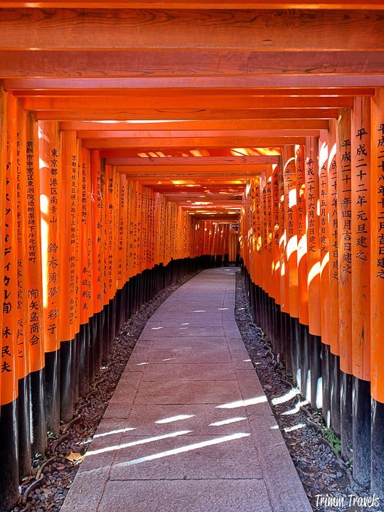 showing the long path of torii gates of fushimi inari kyoto japan