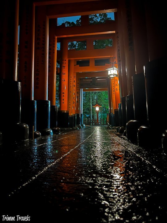 fushimi inari kyoto japan at night from ground level with the orange torii gates surrounding