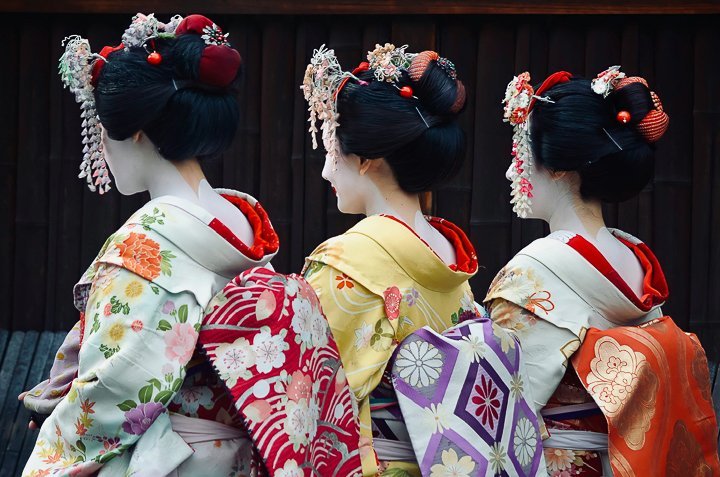 three japanese geishas in kimonos with makeup and hairpieces shown from their backs