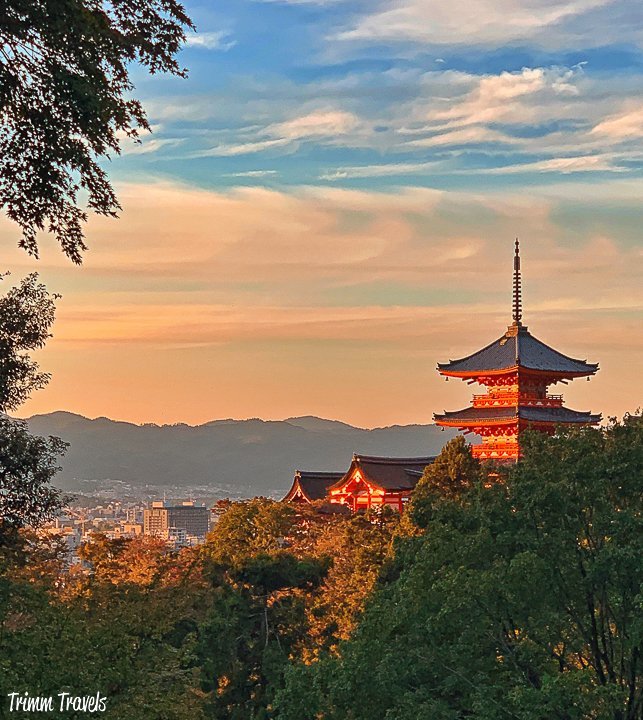 shot of a pagoda at sunset and fall foliage in kyoto japan