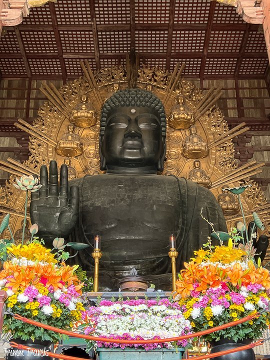 closeup of the fifty foot buddha at great buddha hall in nara