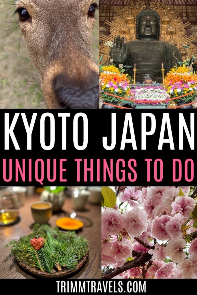 pinterest graphic with four small photos clockwise of a nara deer, great buddha hall, heart strawberry on greens, and cherry blossoms with title "kyoto japan unique things to do" in the center
