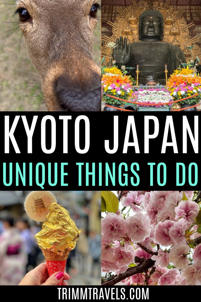 pinterest graphic with four small photos clockwise of a nara deer, great buddha hall, gold foiled ice cream cone, and cherry blossoms with title "kyoto japan unique things to do" in the center